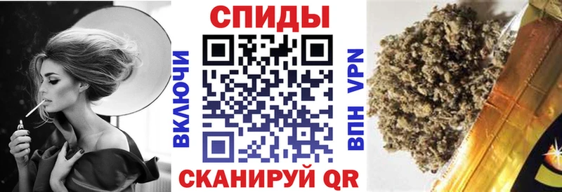shop формула  Жуковка  БУТИРАТ буратино 
