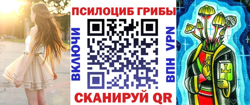 Псилоцибиновые грибы Psilocybe  Жуковка 