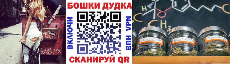 МАРИХУАНА сатива  Жуковка 